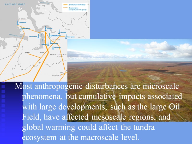Most anthropogenic disturbances are microscale phenomena, but cumulative impacts associated with large developments, such